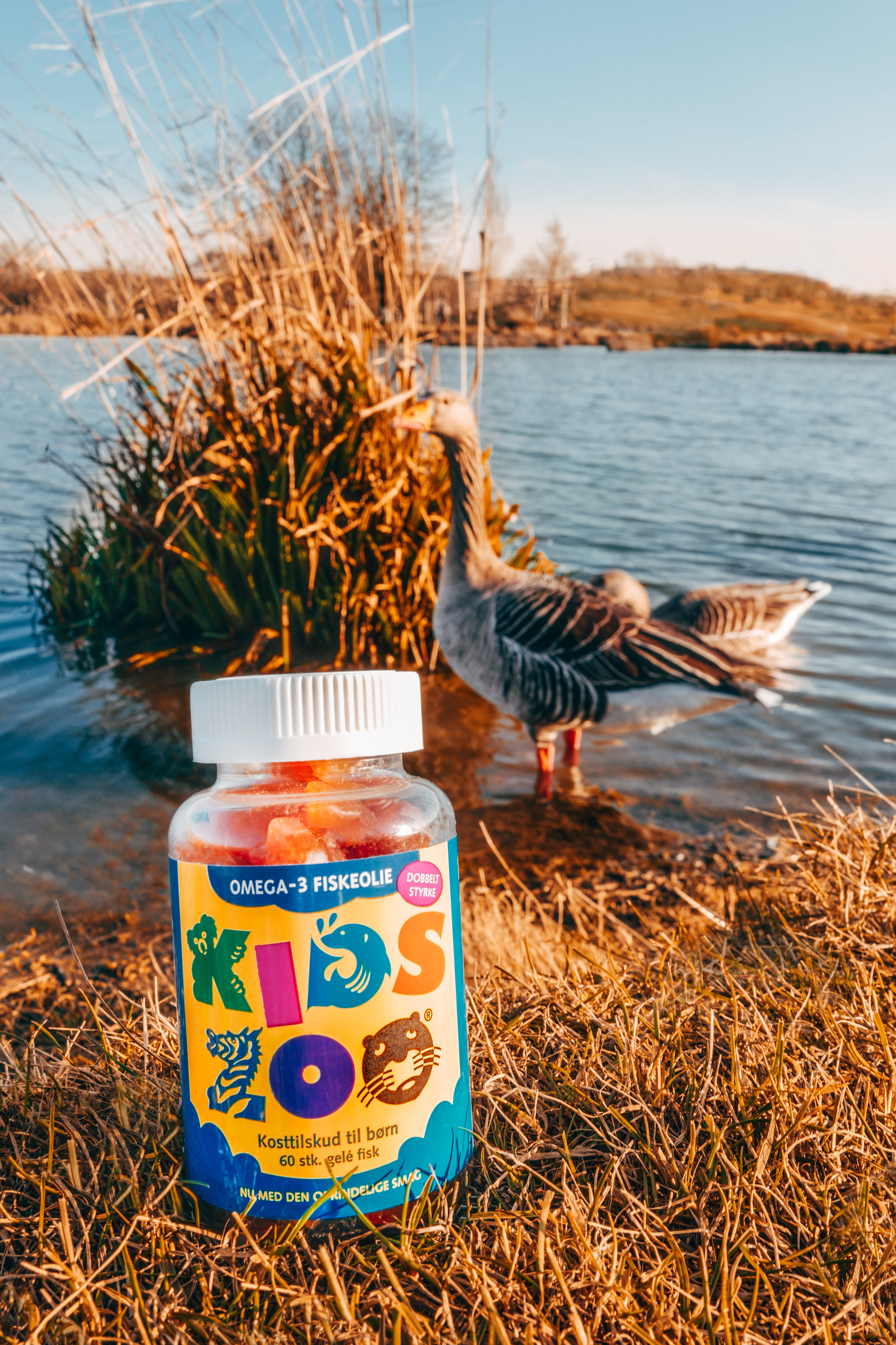 Kids Zoo Omega-3