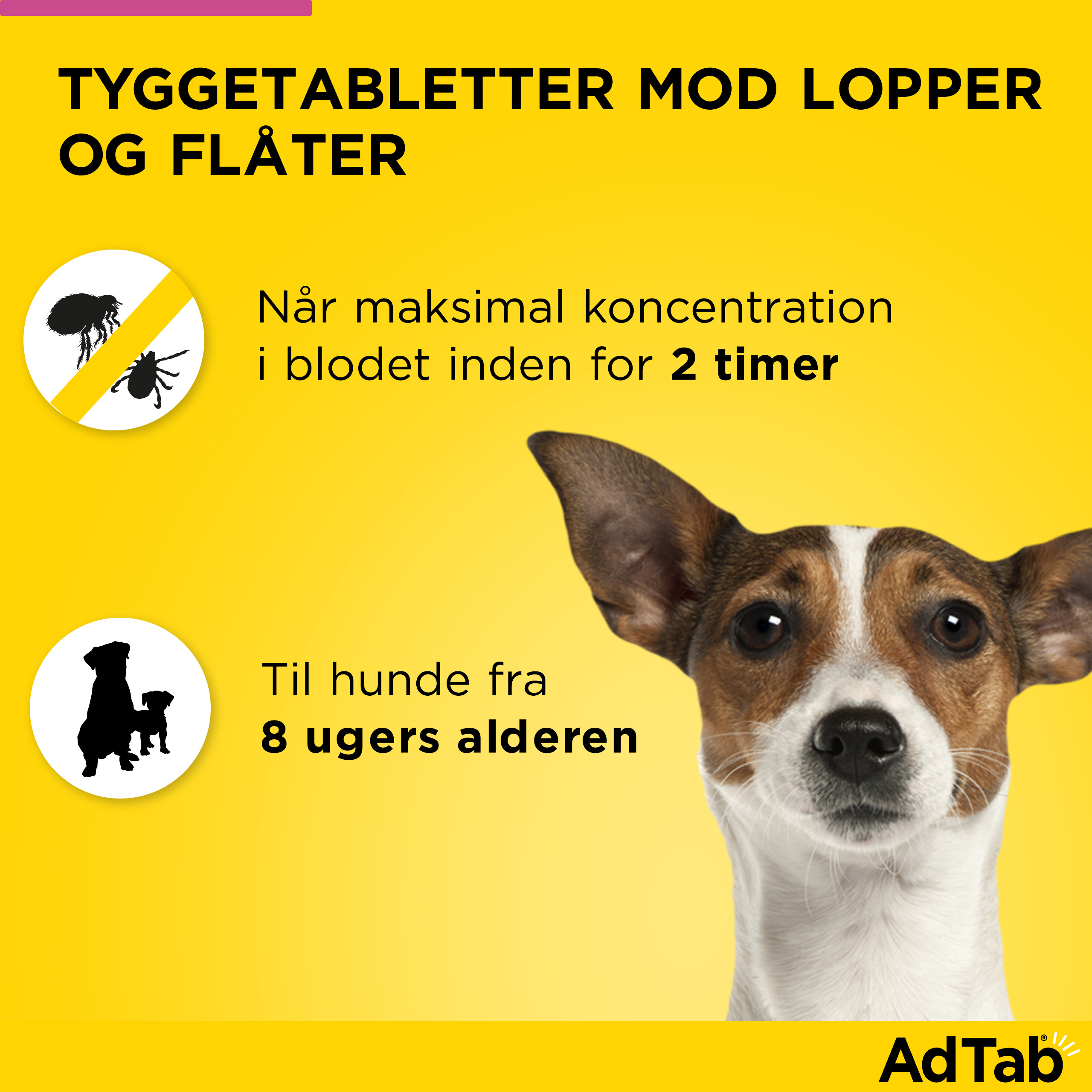 AdTab til hunde >2.5-5.5 kg