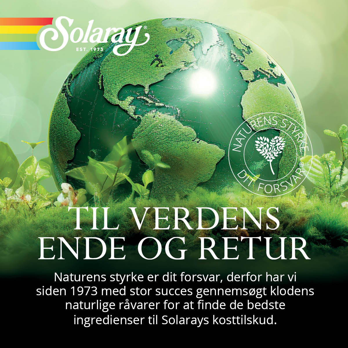 Solaray Mega B-Stress