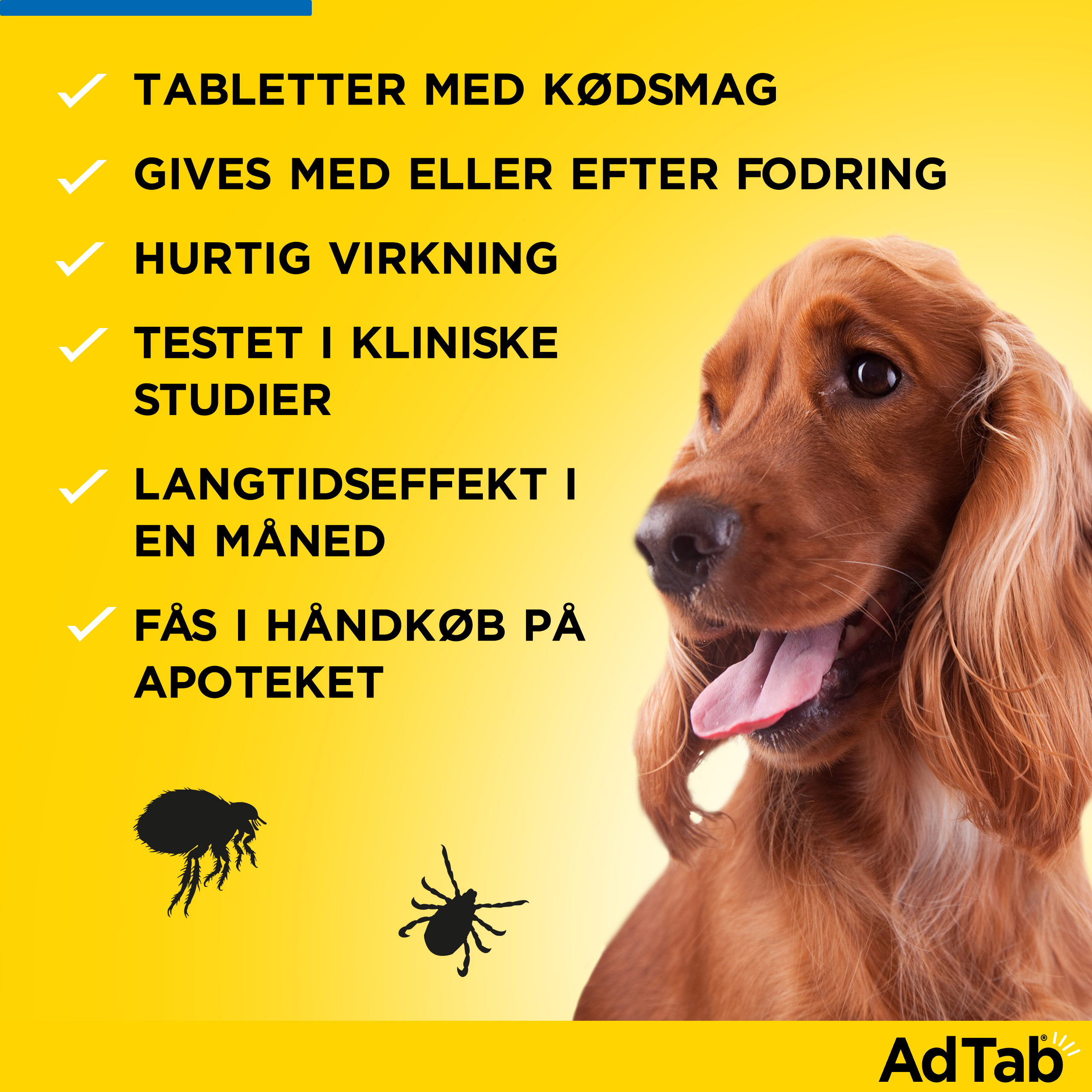 AdTab til hunde >22-45 kg