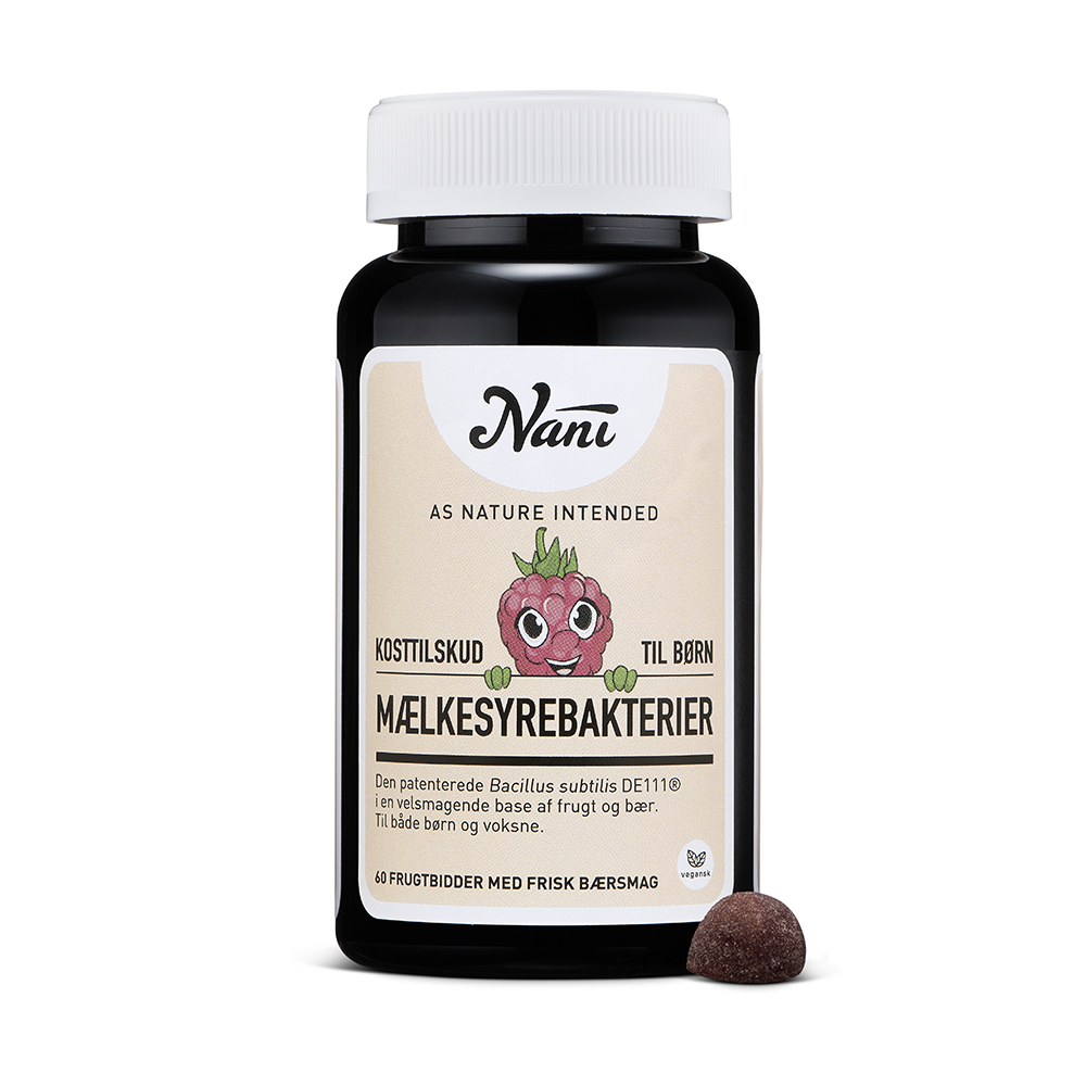 Nani Mælkesyrebakterier