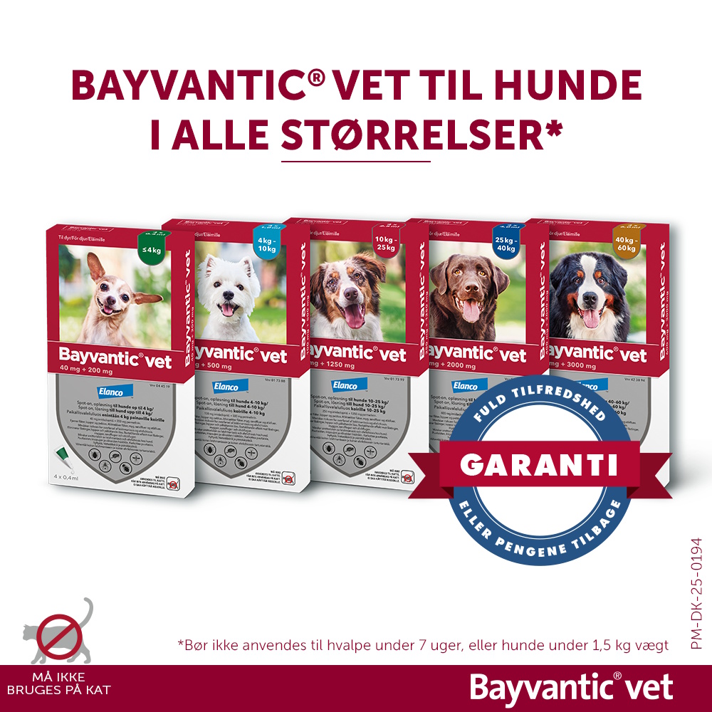 Bayvantic Vet., hunde max 4 kg