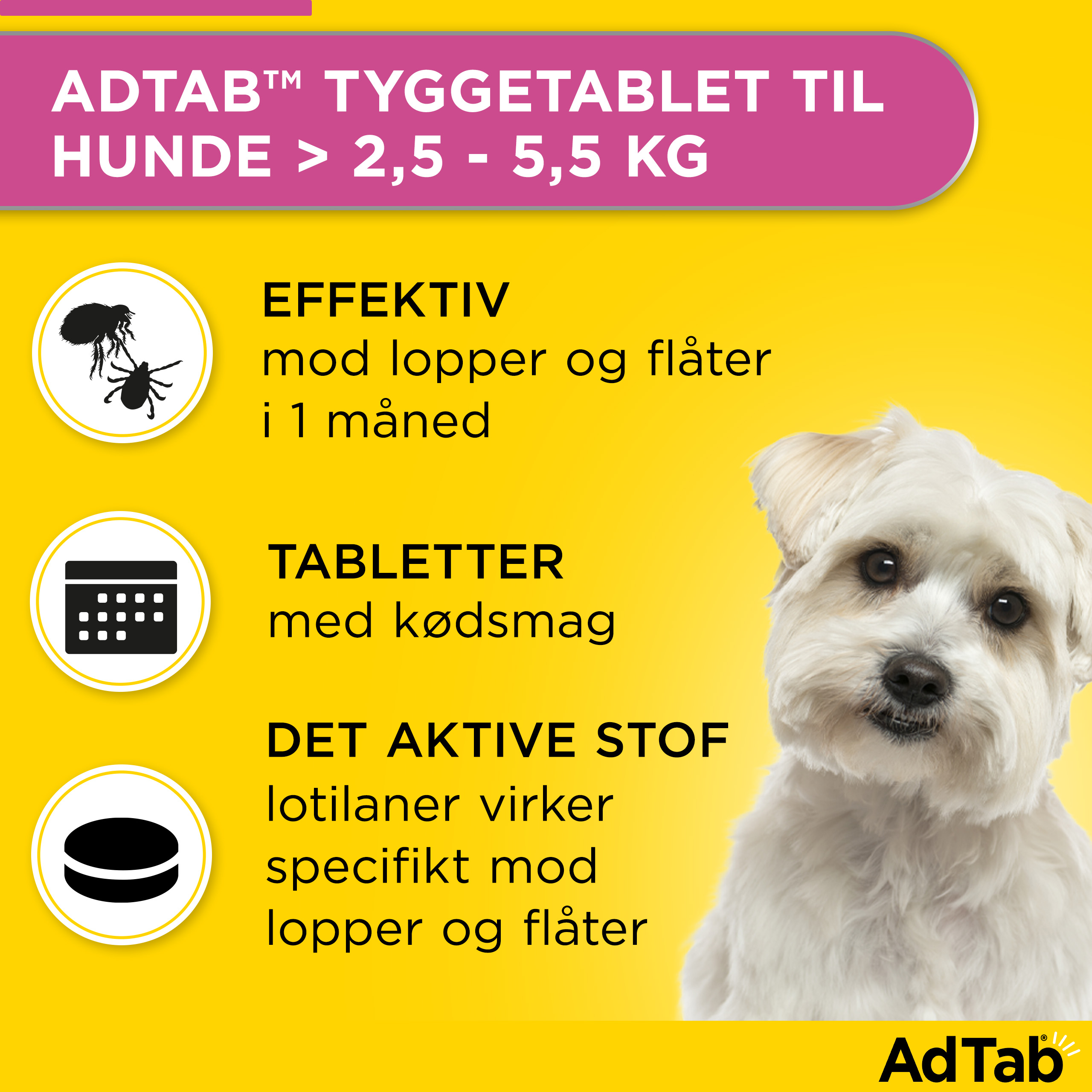 AdTab til hunde >2.5-5.5 kg