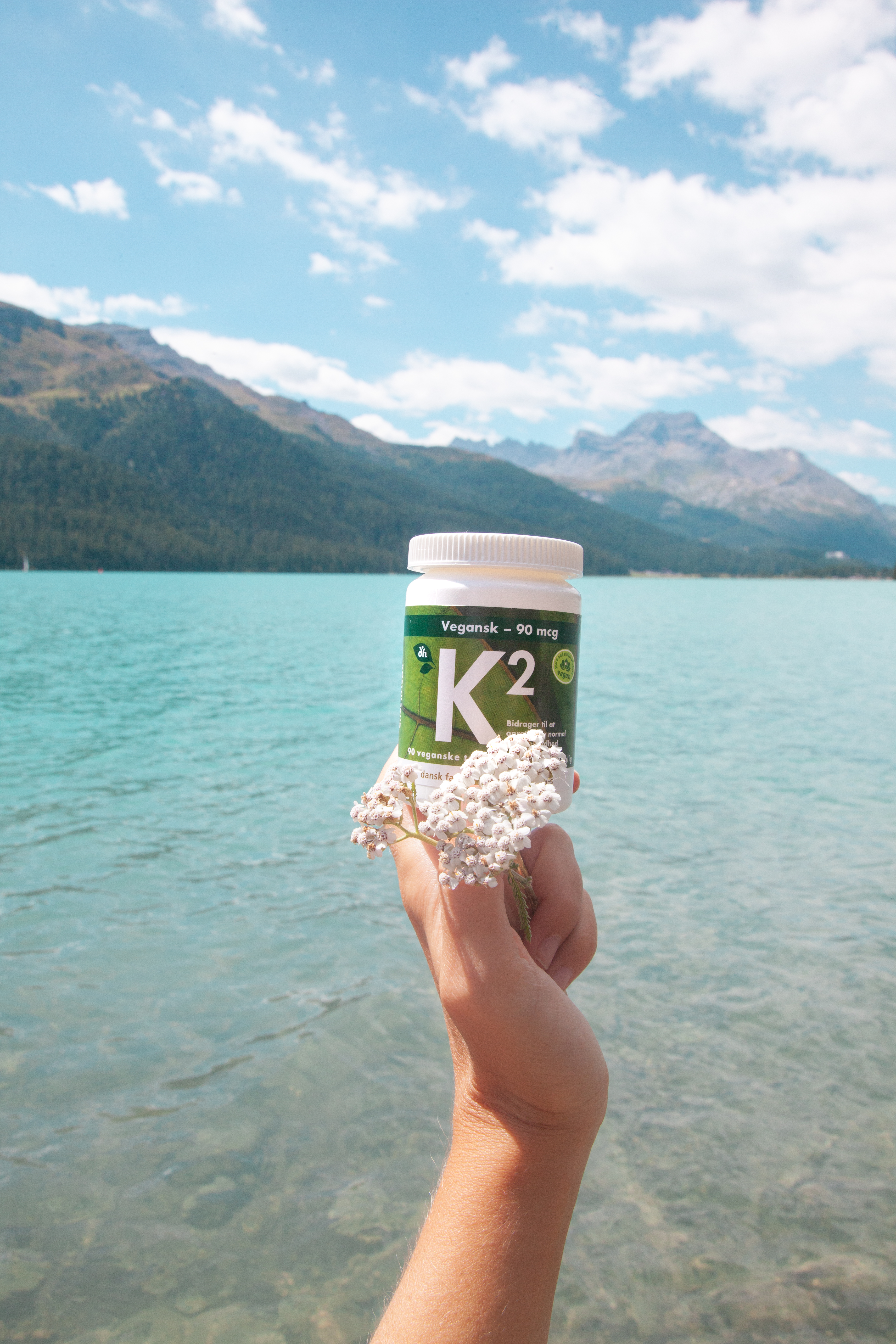 K2 Vitamin 90 µg