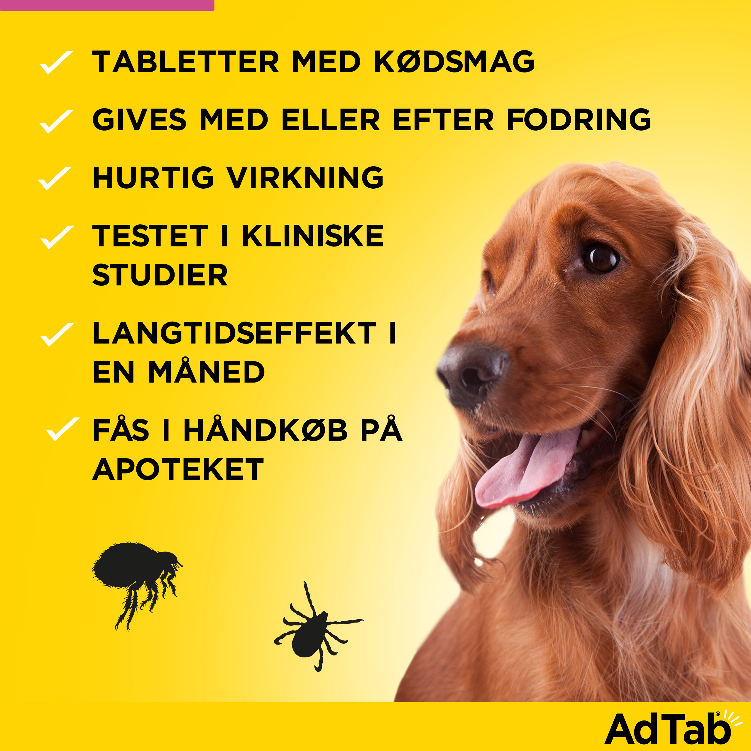 AdTab til hunde >2.5-5.5 kg