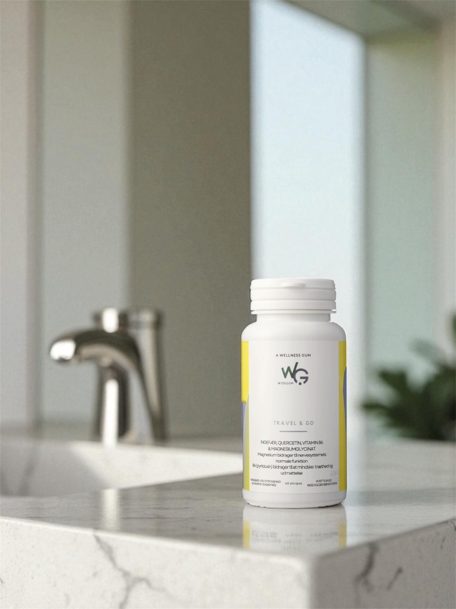 WiseGum TRAVEL & GO