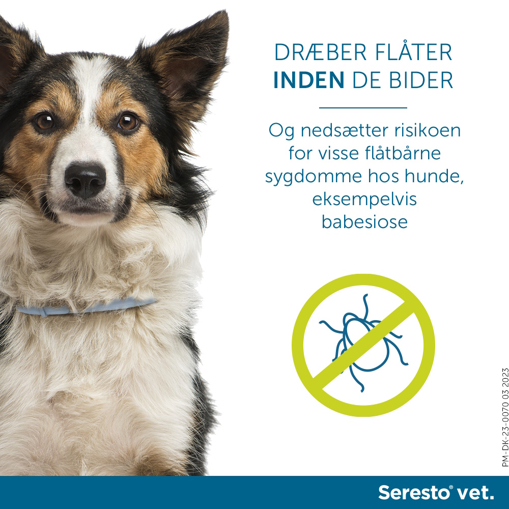 Seresto Vet. t. hund over 8 kg
