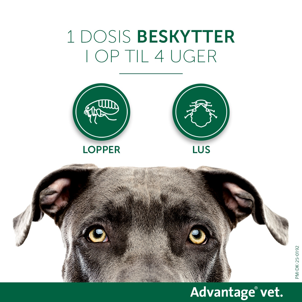 Advantage Vet. til hund