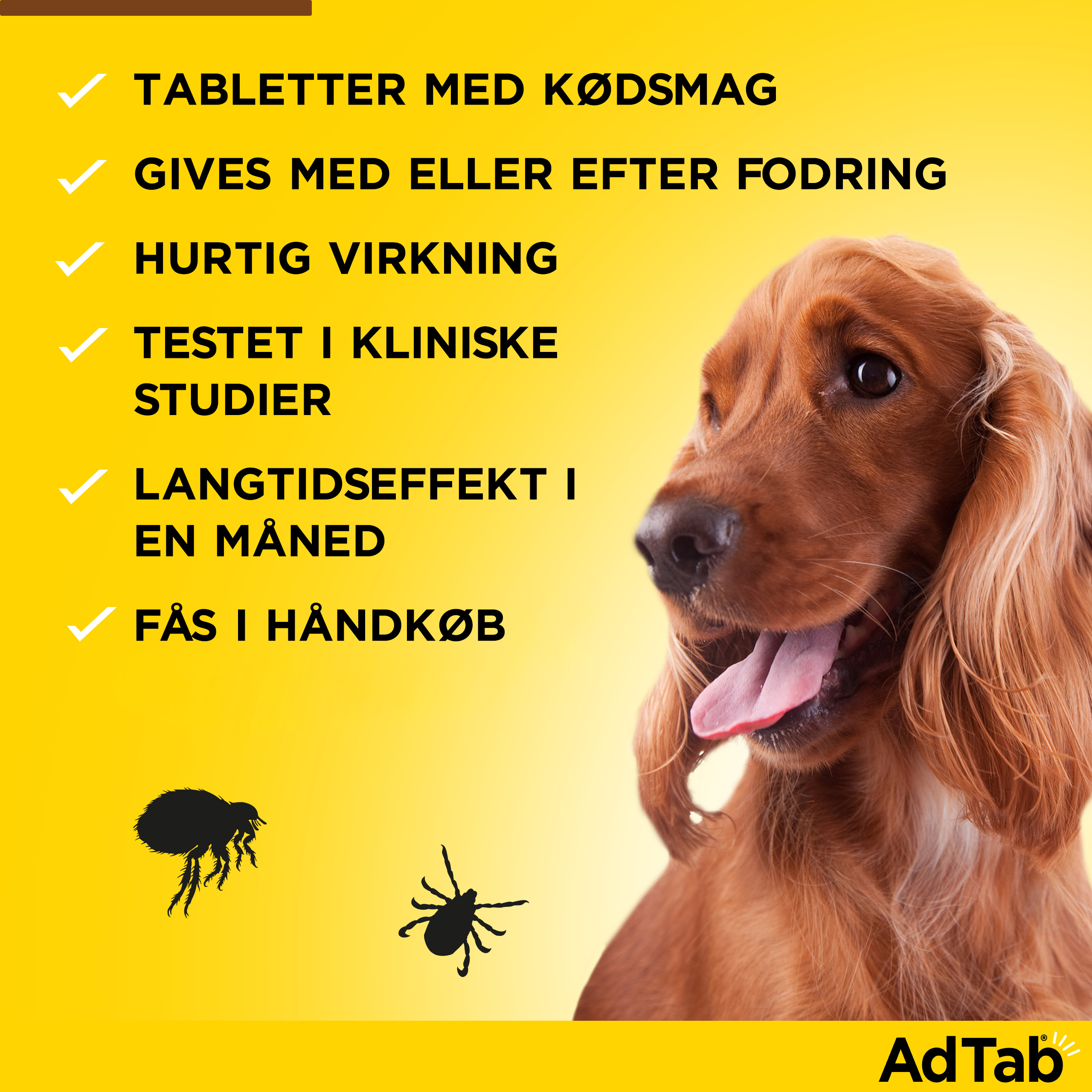 AdTab til hunde >5.5-11 kg