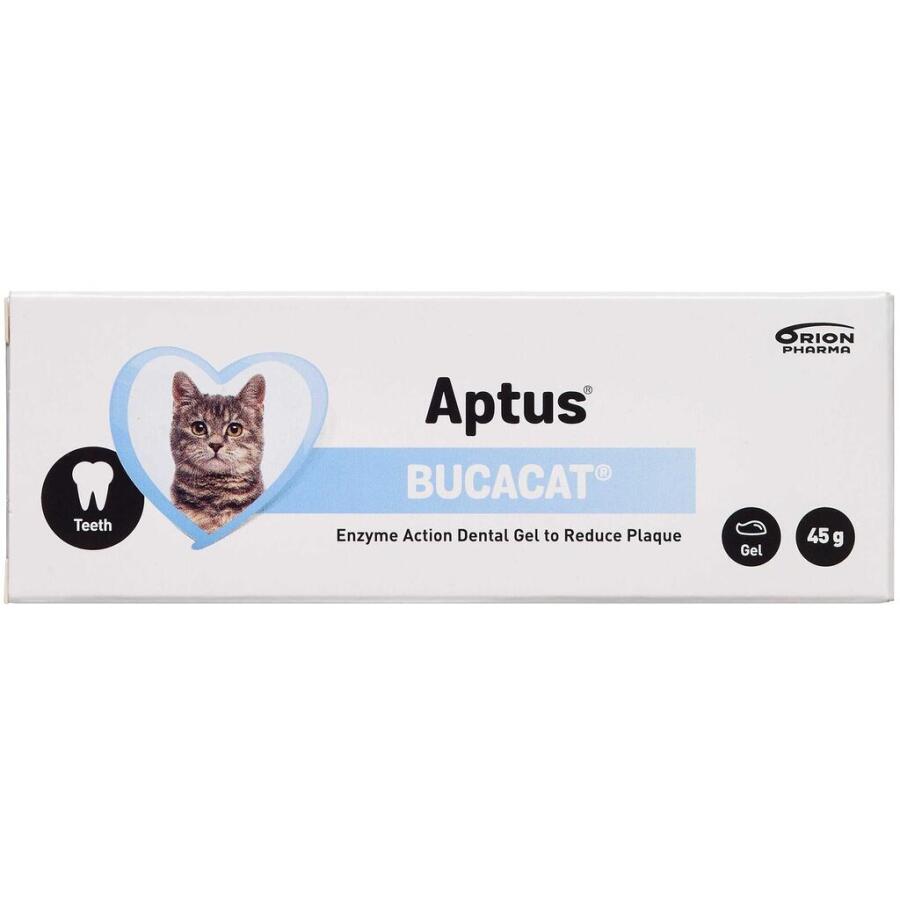 Aptus Bucacat