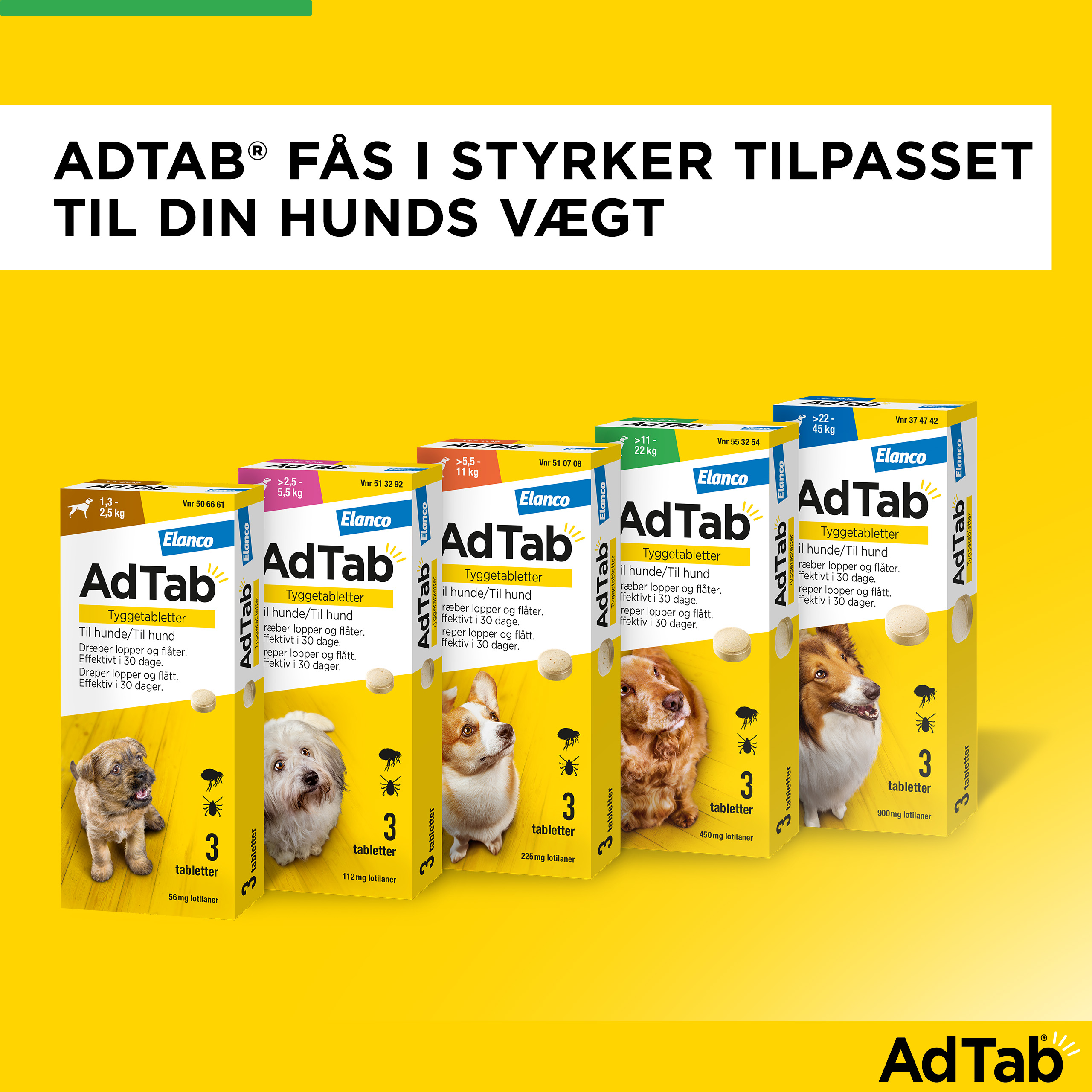 AdTab til hunde >11-22 kg