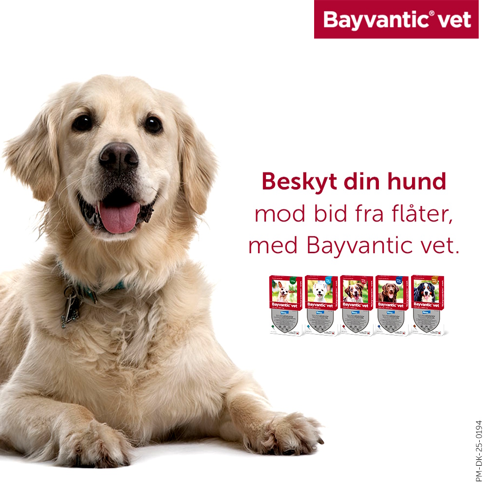 Bayvantic Vet., hunde max 4 kg