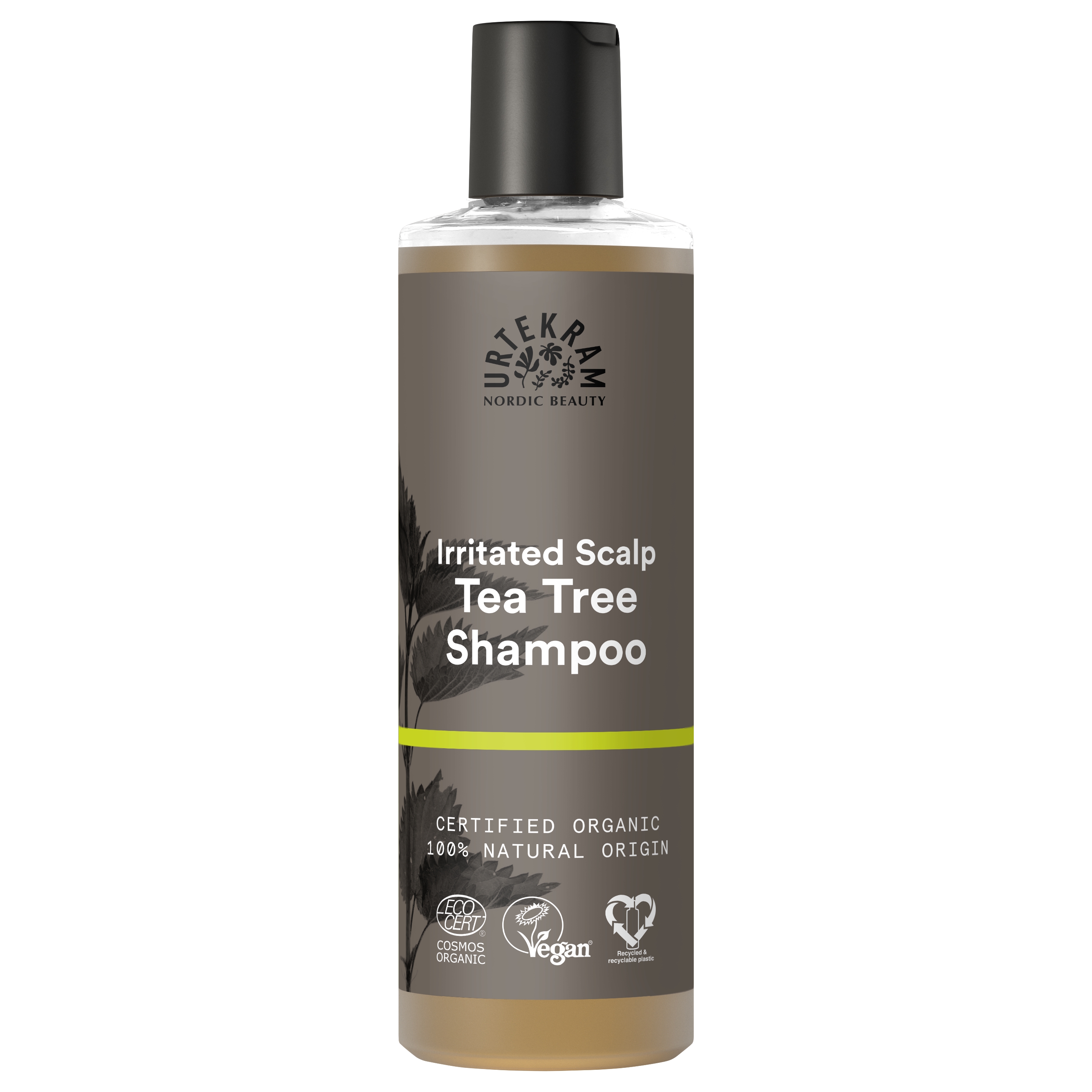 Urtekram Beauty Tea Tree Shampoo