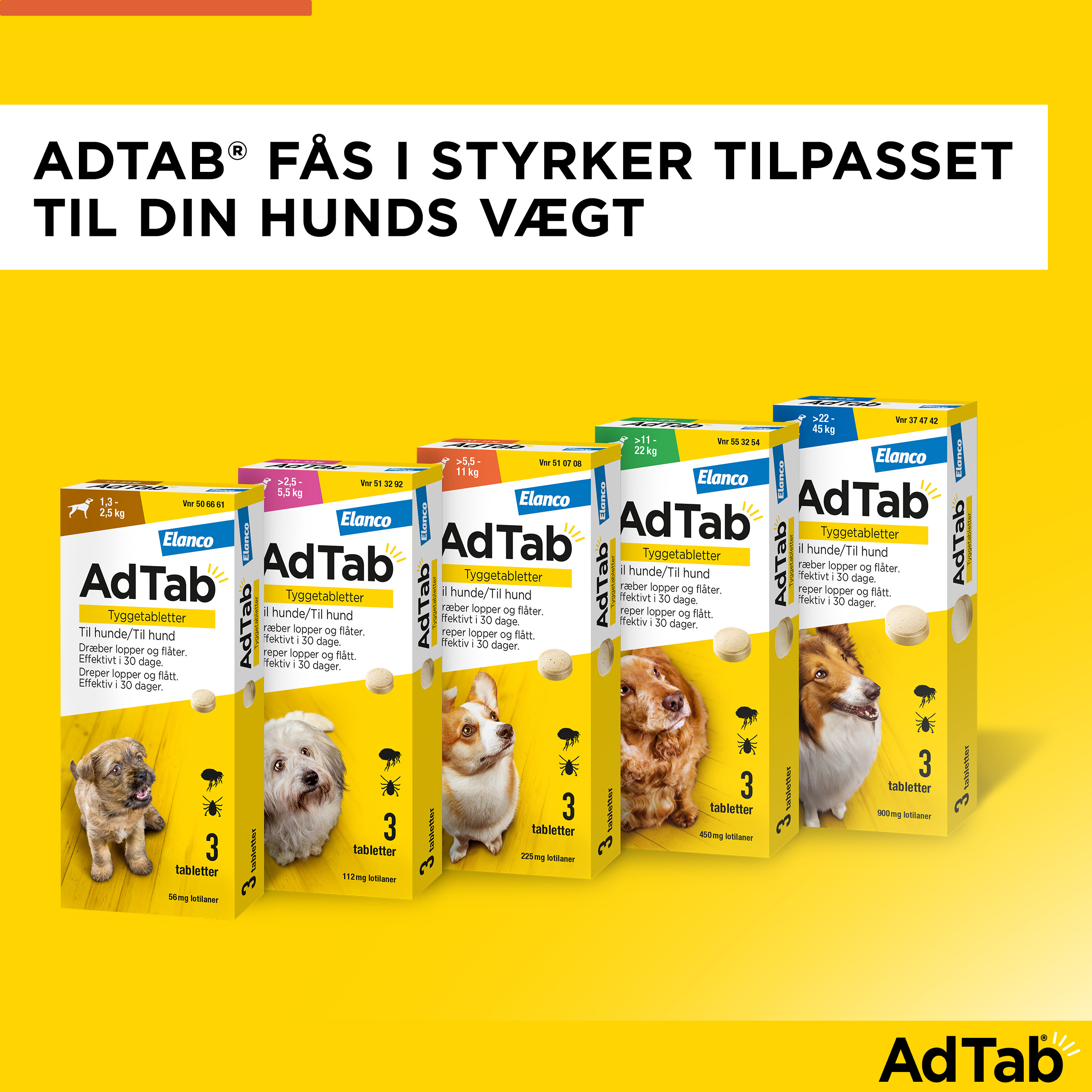 AdTab til hunde >5.5-11 kg