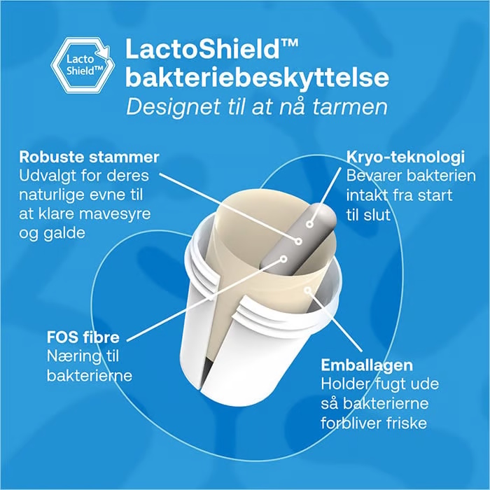Lactocare Daily 50+ Kapsler