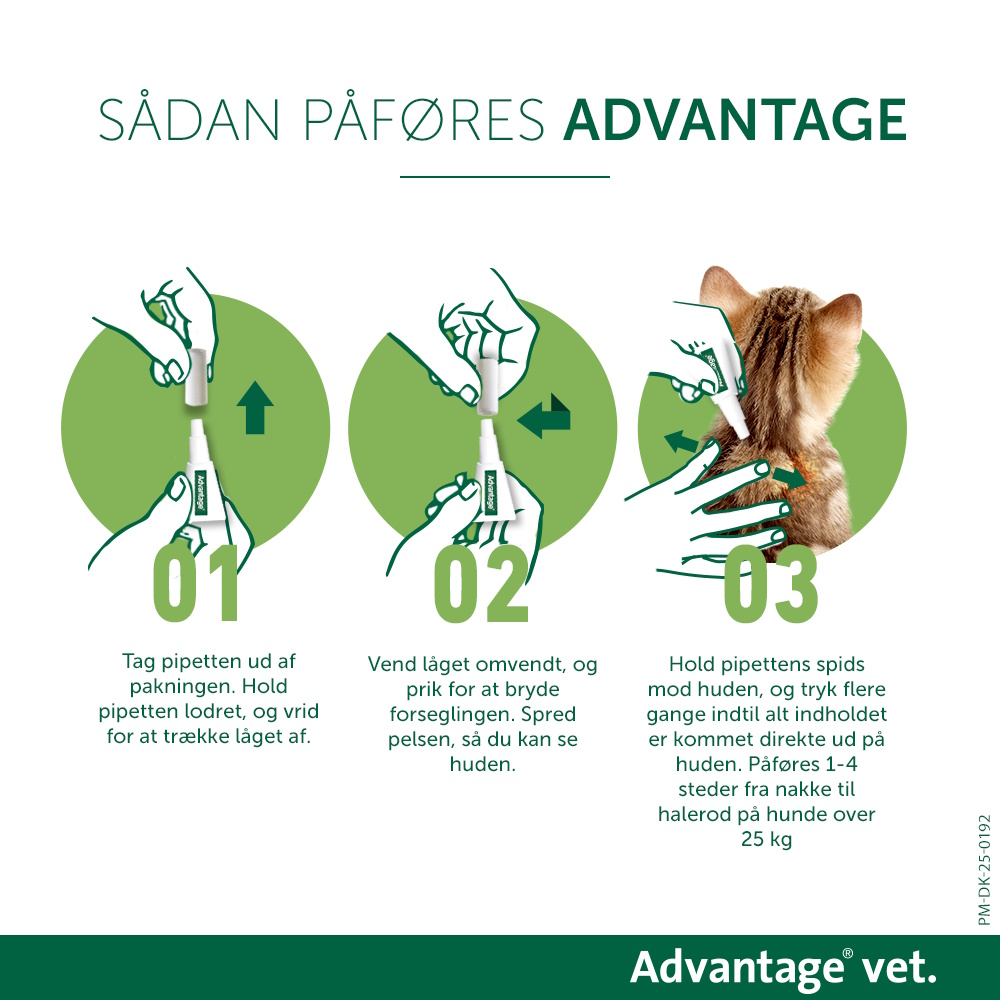 Advantage Vet. til kat